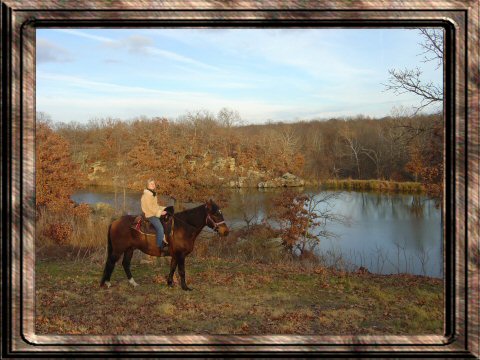 Harley riding Peruvian Paso gelding, Lattie, Seminole, OK